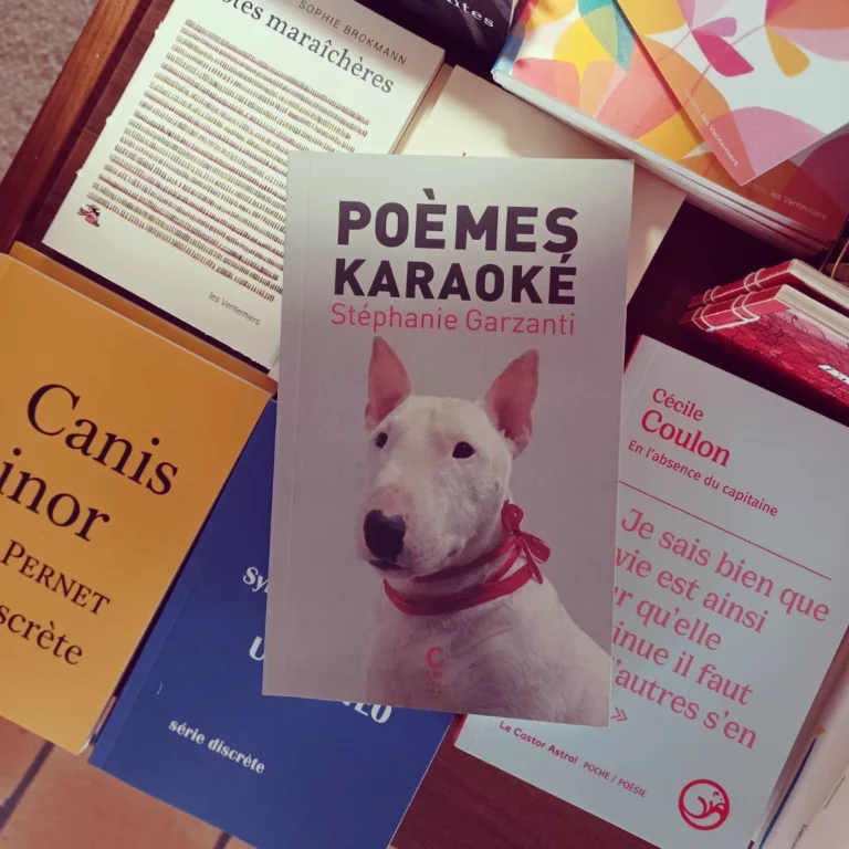 ceci n’est pas un pavé.